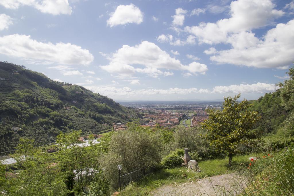 Podere Scoglio D'oro